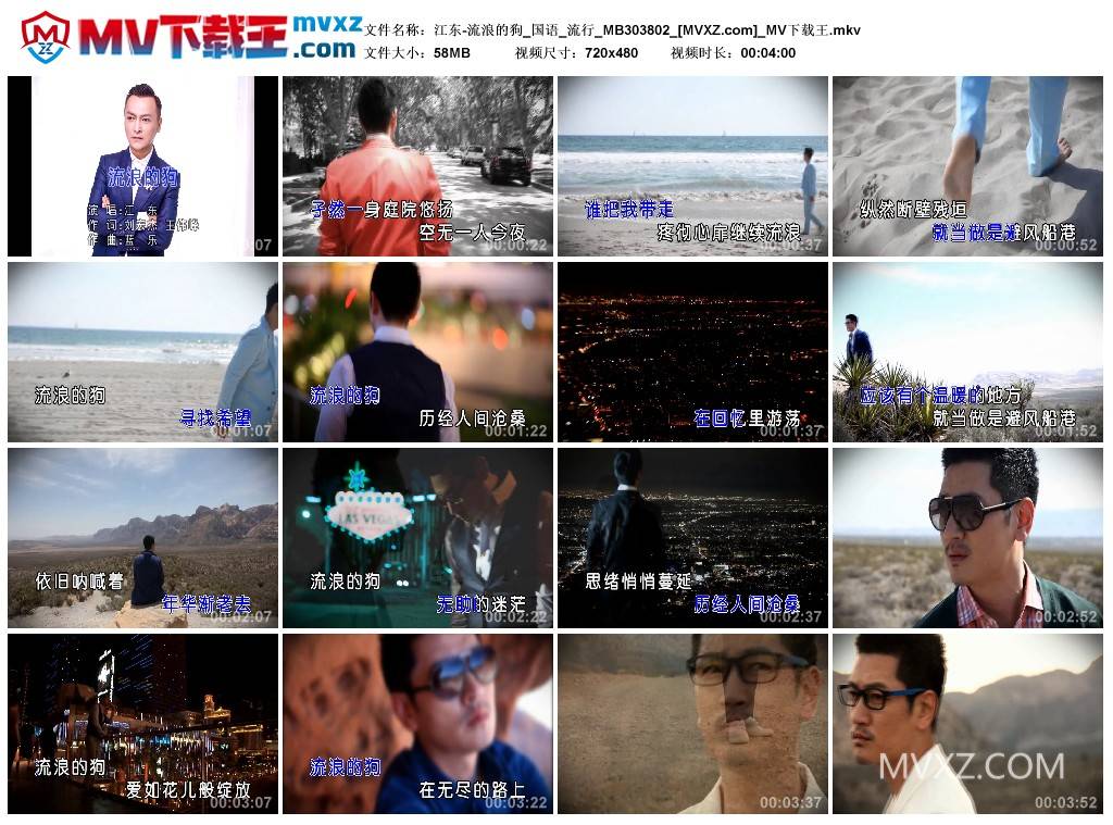 江东-流浪的狗_国语_流行_MB303802